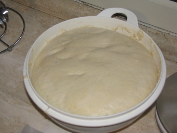 Pucce (fotorecept) - obrázok 2