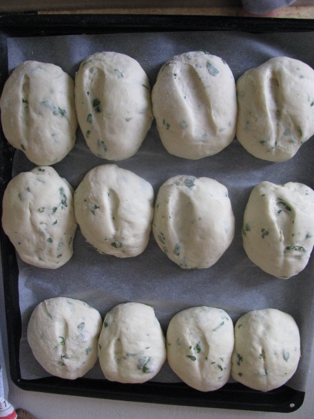 Panini al basilico - bazalkové pečivo (fotorecept) - obrázok 4