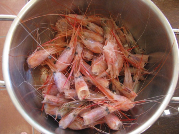 Cestoviny s krevetami a pistáciovým pestom (fotorecept) - obrázok 2