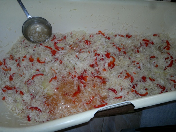 Kapusta - čalamáda (fotorecept) - obrázok 1