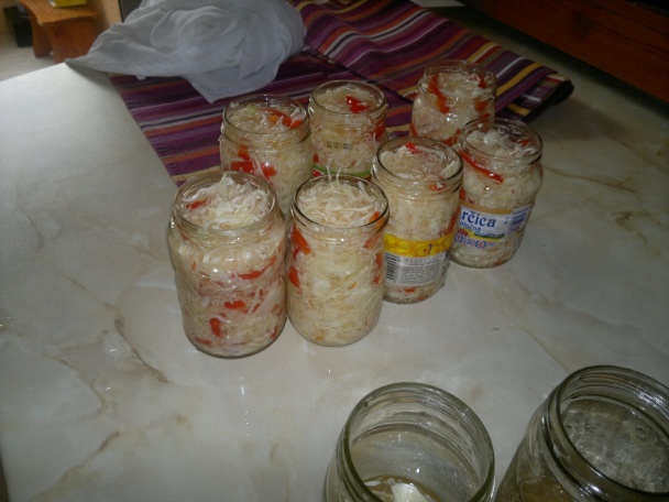 Kapusta - čalamáda (fotorecept) - obrázok 3
