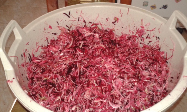Hlávková kapusta s červenou repou (fotorecept) - obrázok 3