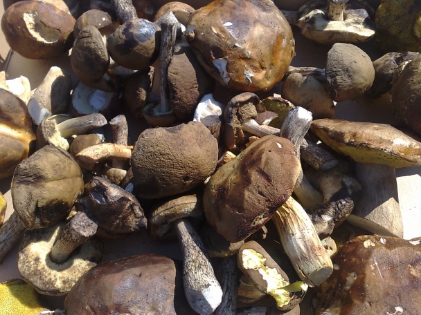 Hubový šalát (fotorecept) - obrázok 1