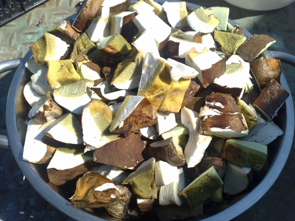 Hubový šalát (fotorecept) - obrázok 2