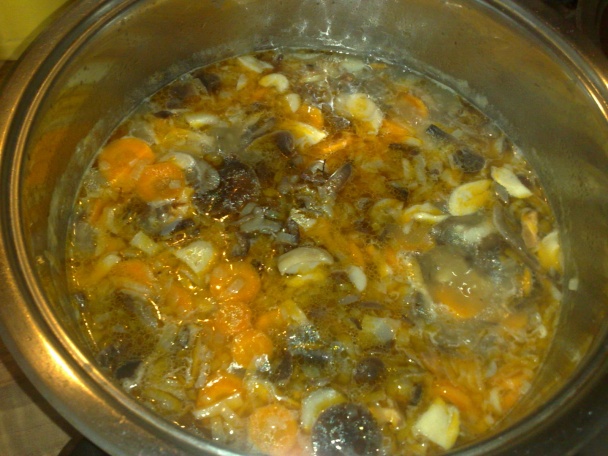 Polievka z húb - podpiniek (fotorecept) - obrázok 4