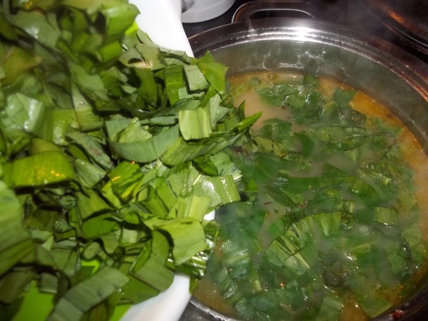 Polievka z medvedieho cesnaku (fotorecept) - obrázok 7