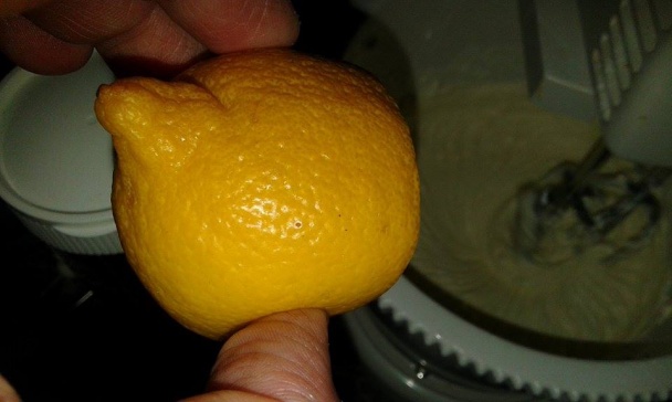 Nepečený cheesecake (fotorecept) - obrázok 5