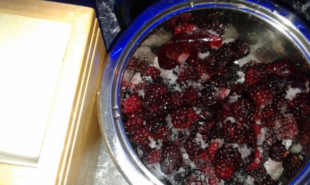 Nepečený cheesecake (fotorecept) - obrázok 10