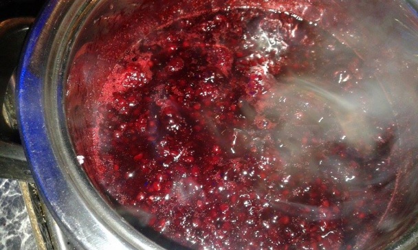 Nepečený cheesecake (fotorecept) - obrázok 11