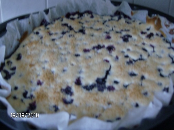 Kokosovo-čučoriedkový koláč - obrázok 1