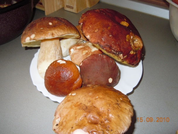 Vyprážané dubákové hlavičky (fotorecept) - obrázok 1