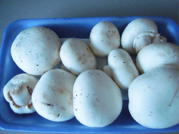 Plnené šampiňóny (fotorecept) - obrázok 1