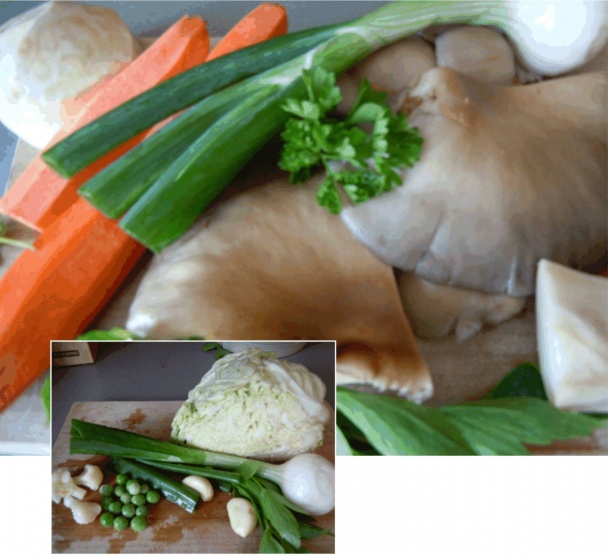 Jarná polievka s domácou hlivou ustricovou - obrázok 1