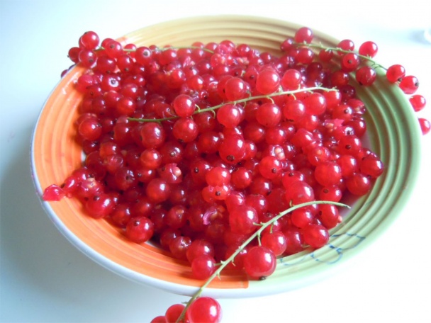 Ríbezľový koláč - obrázok 1