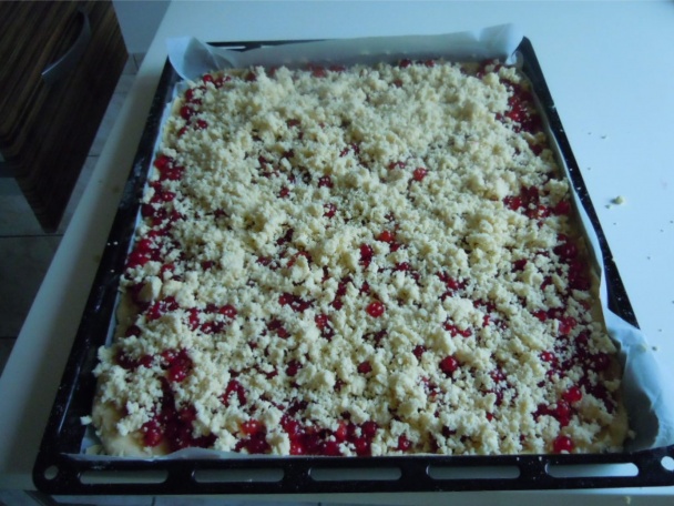 Ríbezľový koláč - obrázok 7