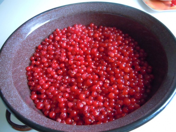 Marmeláda z červených ríbezlí - obrázok 1