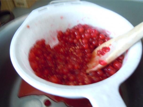 Marmeláda z červených ríbezlí - obrázok 2