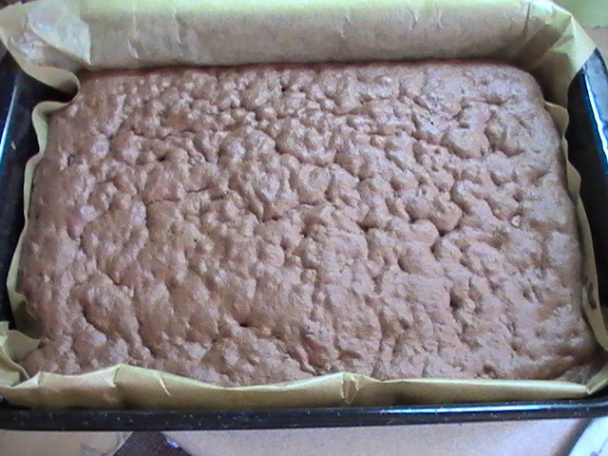 Fľakaté rezy (fotorecept) - obrázok 2