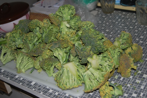 Vyprážaná brokolica so zemiakovým pyré - obrázok 1