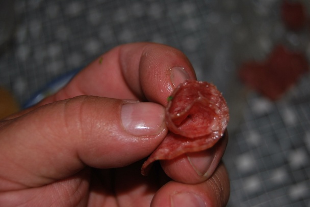 Brokolicový mozoček - obrázok 4