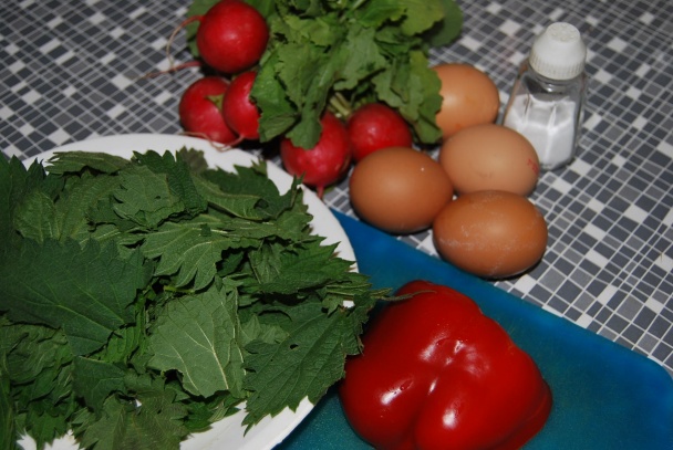 Jarná praženica (fotorecept) - obrázok 1