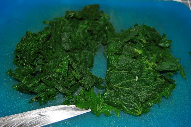 Jarná praženica (fotorecept) - obrázok 3