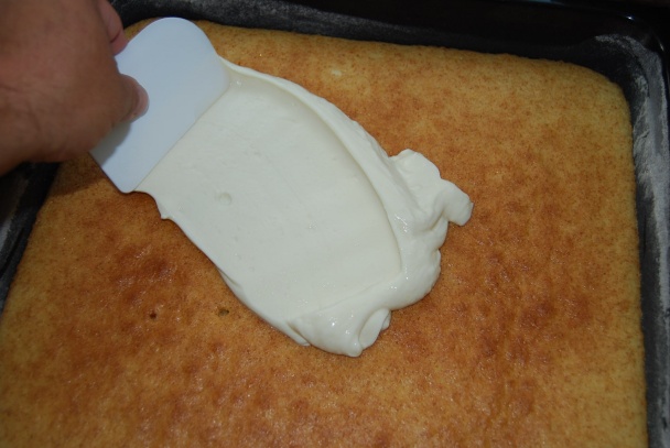 Tvarohovo-marhuľový s kokosovým... (fotorecept) - obrázok 10