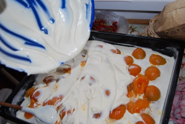 Tvarohovo-marhuľový s kokosovým... (fotorecept) - obrázok 11