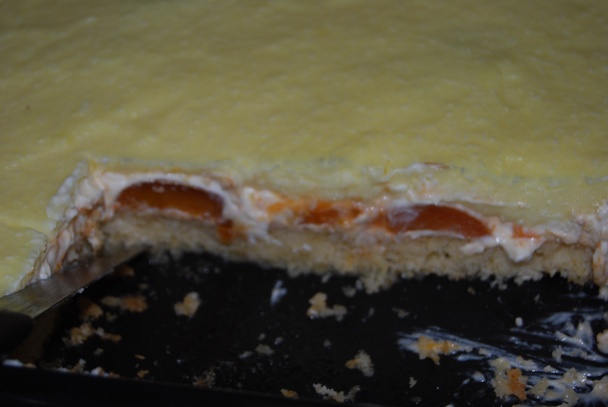 Tvarohovo-marhuľový s kokosovým... (fotorecept) - obrázok 14