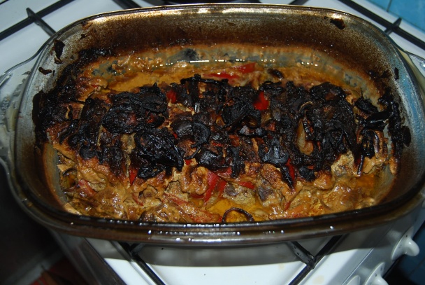 Krkovička Dračice - obrázok 11