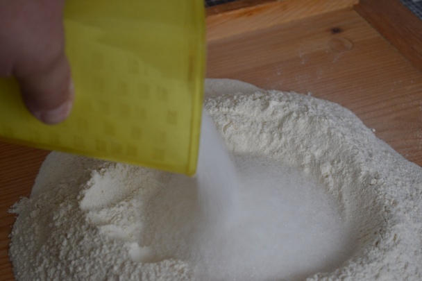 Zázvorníky - obrázok 2