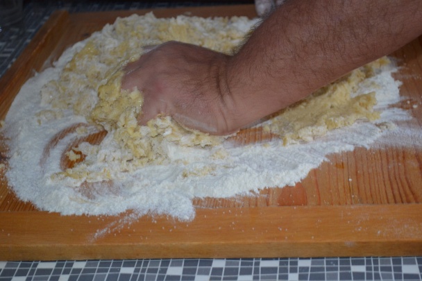 Zázvorníky - obrázok 5