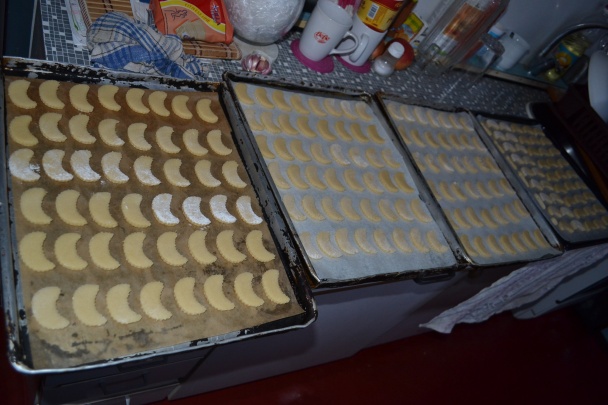 Zázvorníky - obrázok 7