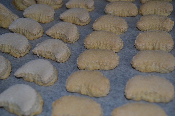 Zázvorníky - obrázok 8