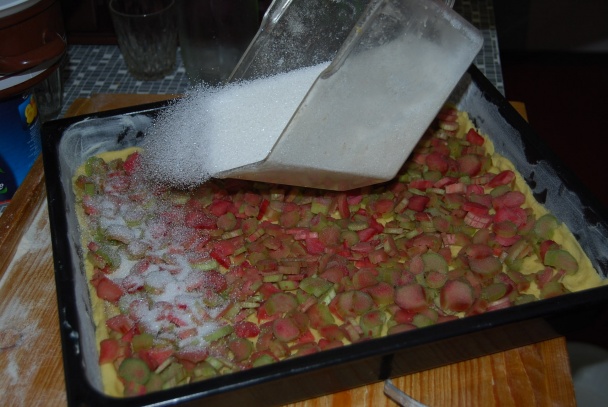 Rebarborový koláč (fotorecept) - obrázok 5