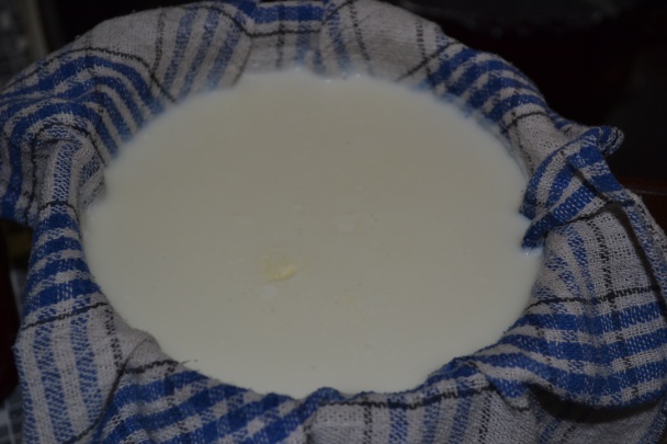  Syr z tvarohu - zahrievaný - obrázok 3