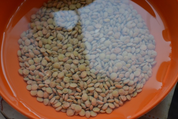 Šošovicové klíčky s tvarohom a medom - obrázok 1