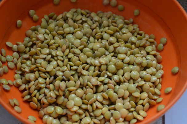 Šošovicové klíčky s tvarohom a medom - obrázok 2