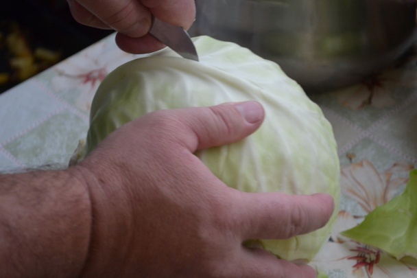 Plnený kapustový list - obrázok 5