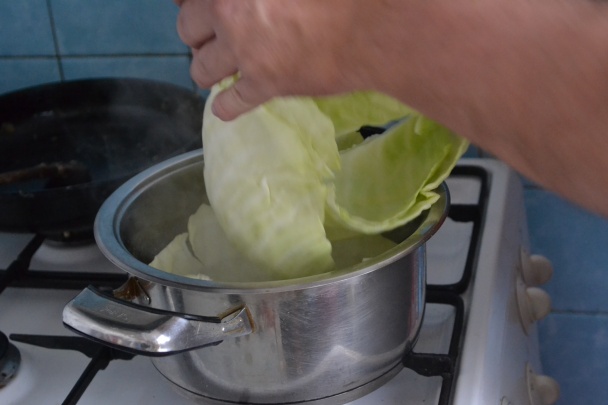 Plnený kapustový list - obrázok 6