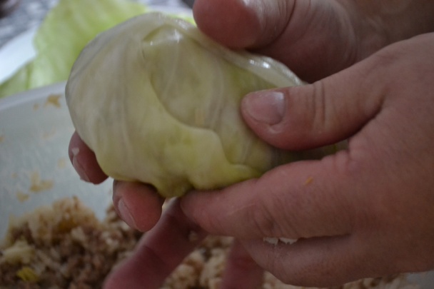 Plnený kapustový list - obrázok 9