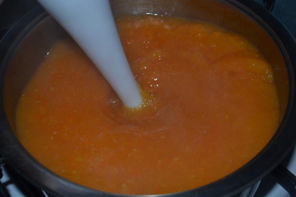 Sunquick - domáca napodobnenina (fotorecept) - obrázok 8