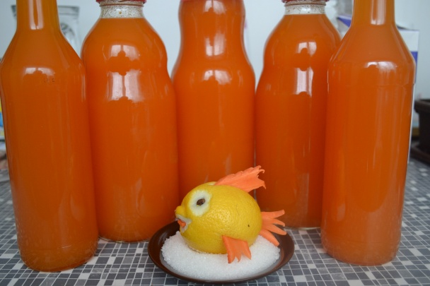 Sunquick - domáca napodobnenina (fotorecept) - obrázok 12