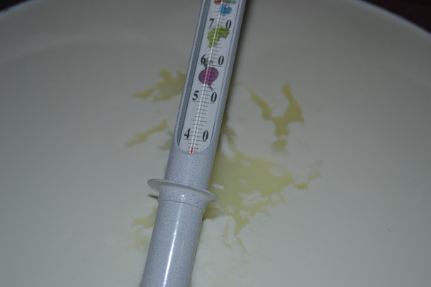 Syr z mlieka z automatu - obrázok 10