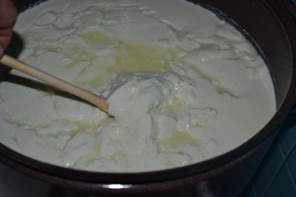 Syr z mlieka z automatu - obrázok 11