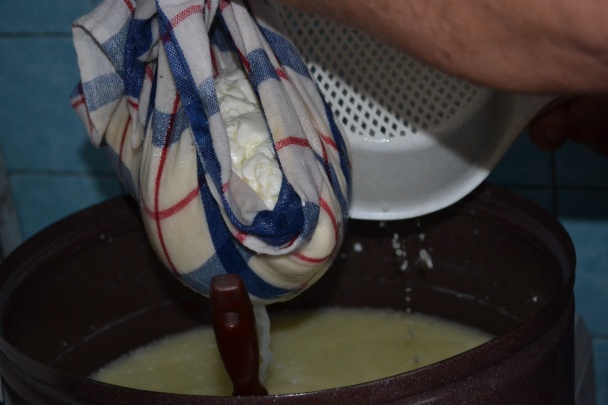 Syr z mlieka z automatu - obrázok 13