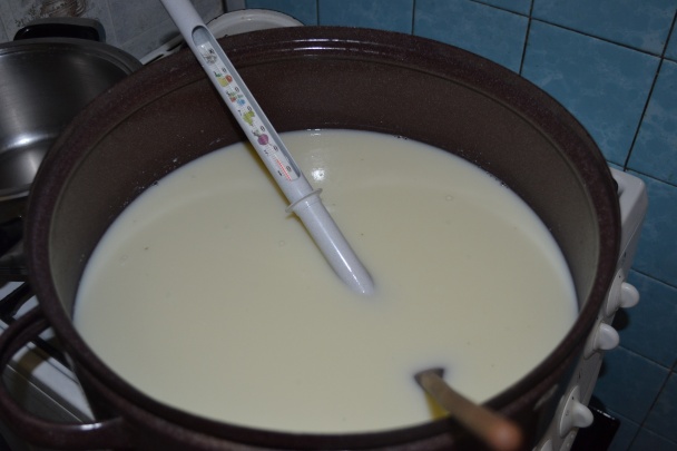 Ricotta - syr zo srvátky (fotorecept) - obrázok 1