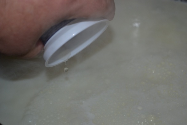 Ricotta - syr zo srvátky (fotorecept) - obrázok 3