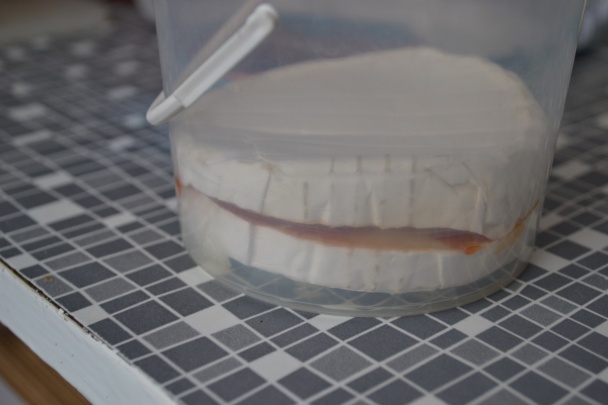 Nakladaný syr s bielou plesňou (fotorecept) - obrázok 7