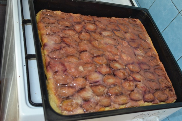 Slivkové kocky (fotorecept) - obrázok 13